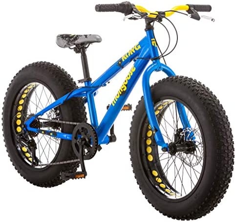 1. Fat bikes are great for all types of terrain because they have a wide tire that can grip the ground well.