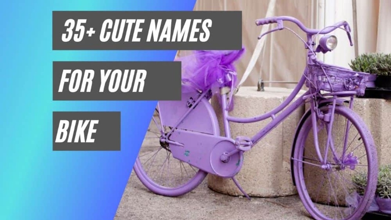 7. Twilight Sparkle is one of the most popular names for bikes.