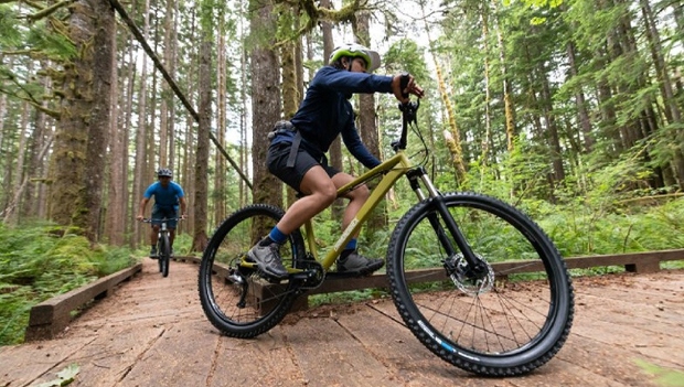 A trail bike is a great option for someone looking for a versatile mountain bike that can handle a variety of terrain.