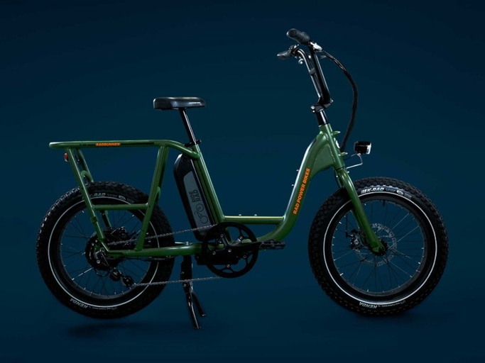 Electric bikes are becoming increasingly popular, but are they worth the extra cost?