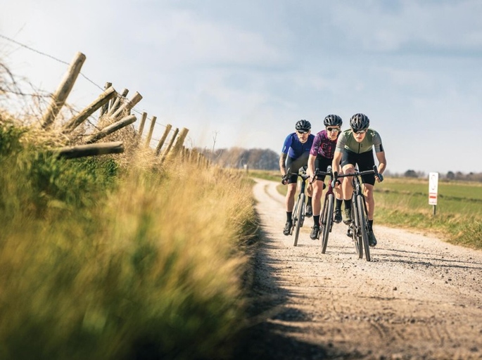 Gravel bikes are designed to take a beating, making them ideal for riders who want to explore off the beaten path.