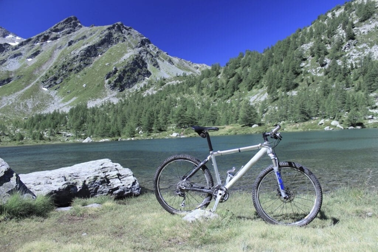 Mountain bikes have wider, cushier tires than touring bikes.