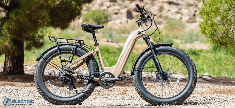 One potential reason electric bikes are heavy is because they often have wide tires.
