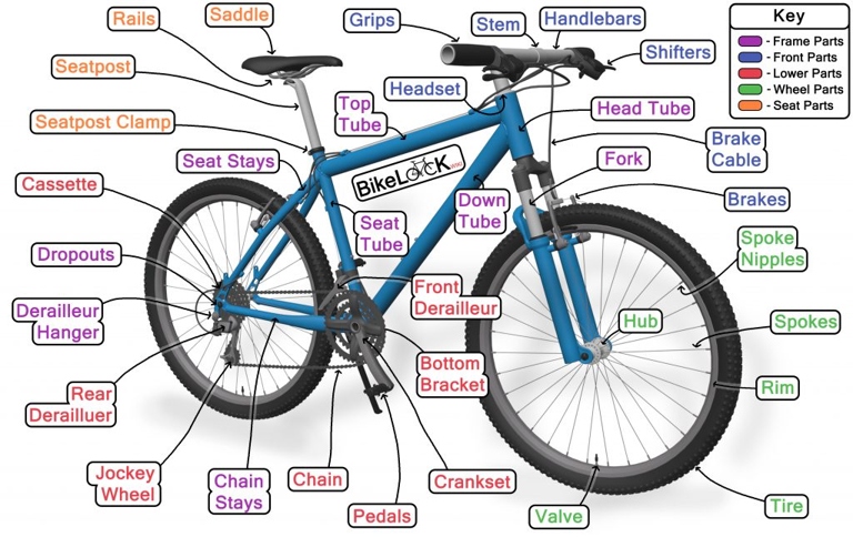 The frame of a bike is the most important part, and it is what determines the type of bike.