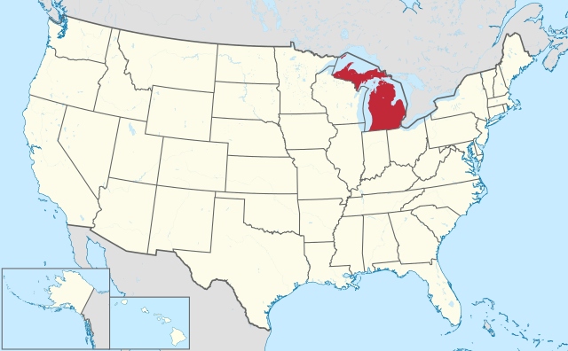 The population was 1,569 at the 2010 census. Fork is a town in Newaygo County in the U.S. state of Michigan.